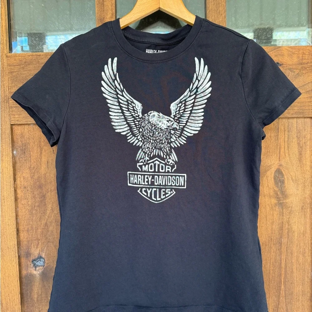Harley-Davidson Bundle - Picture 12 of 16